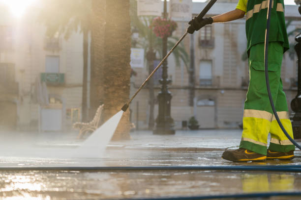 Best Roof Pressure Washing  in Arcola, IL