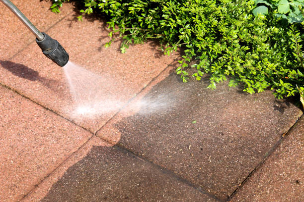Best Pressure Washing Services for Businesses  in Arcola, IL